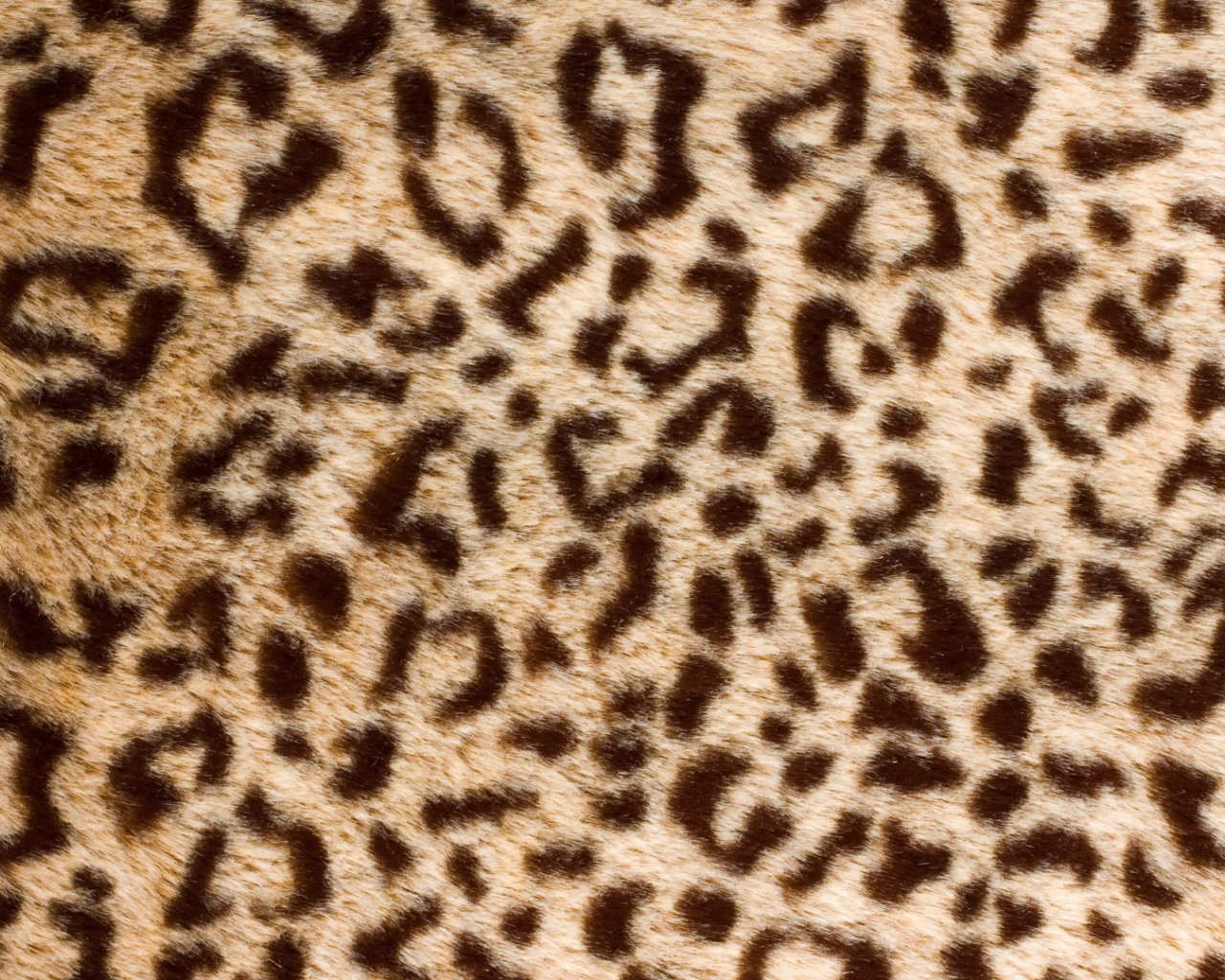 Банальный леопард