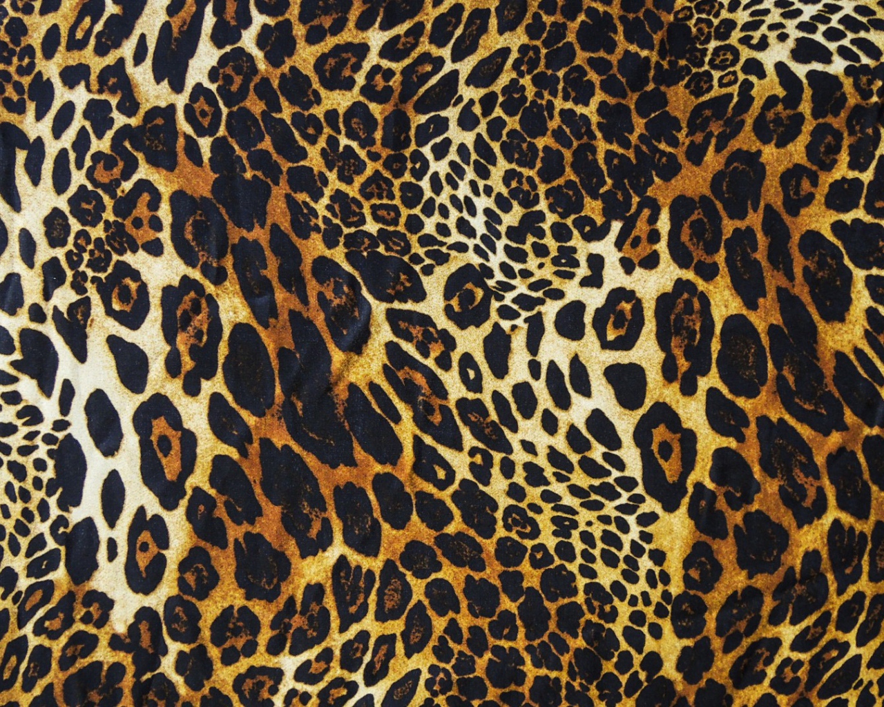 Яяркий леопард