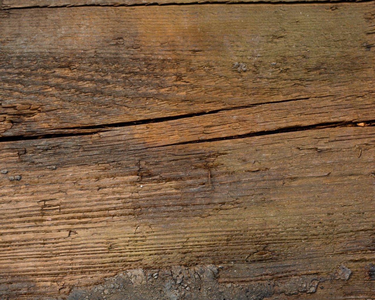 Растрескавшееся дерево