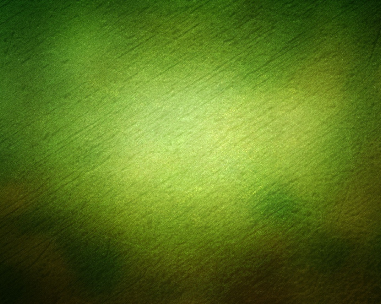 Зелёная гладь