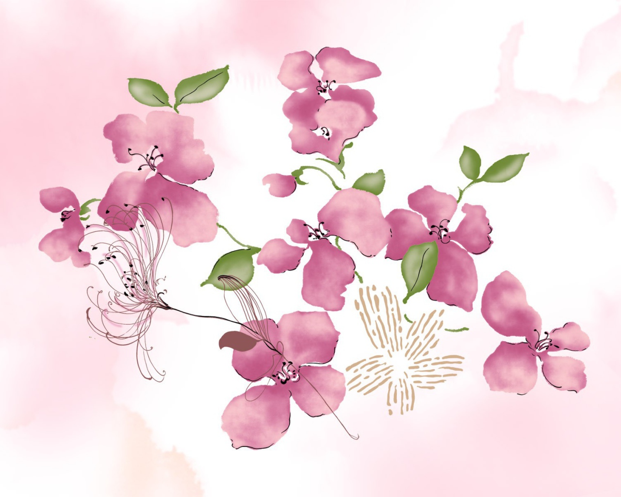 Розовые цветы на белом фоне