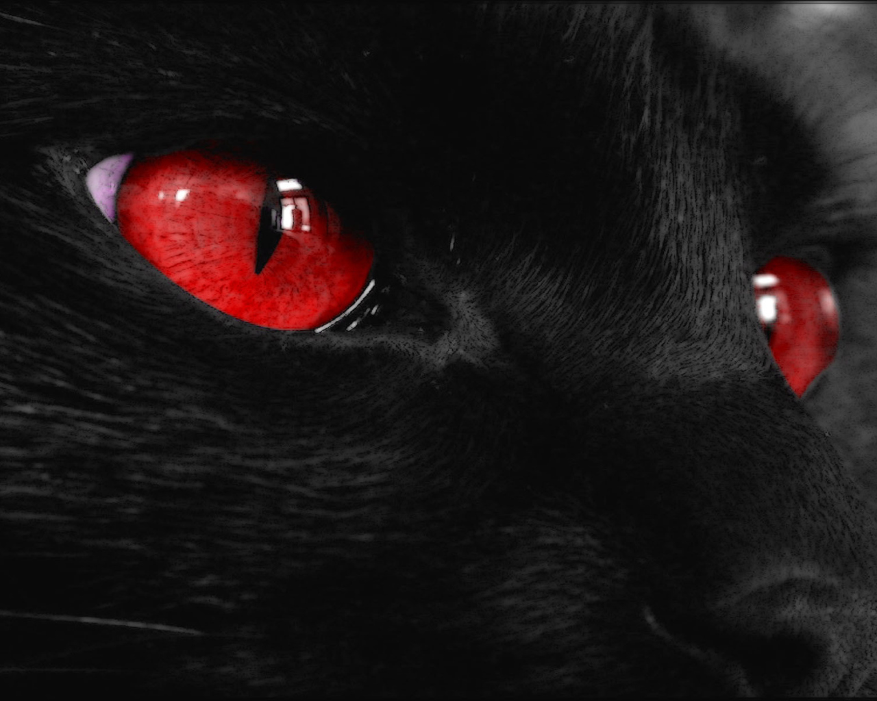 Красные глаза на черных обоях