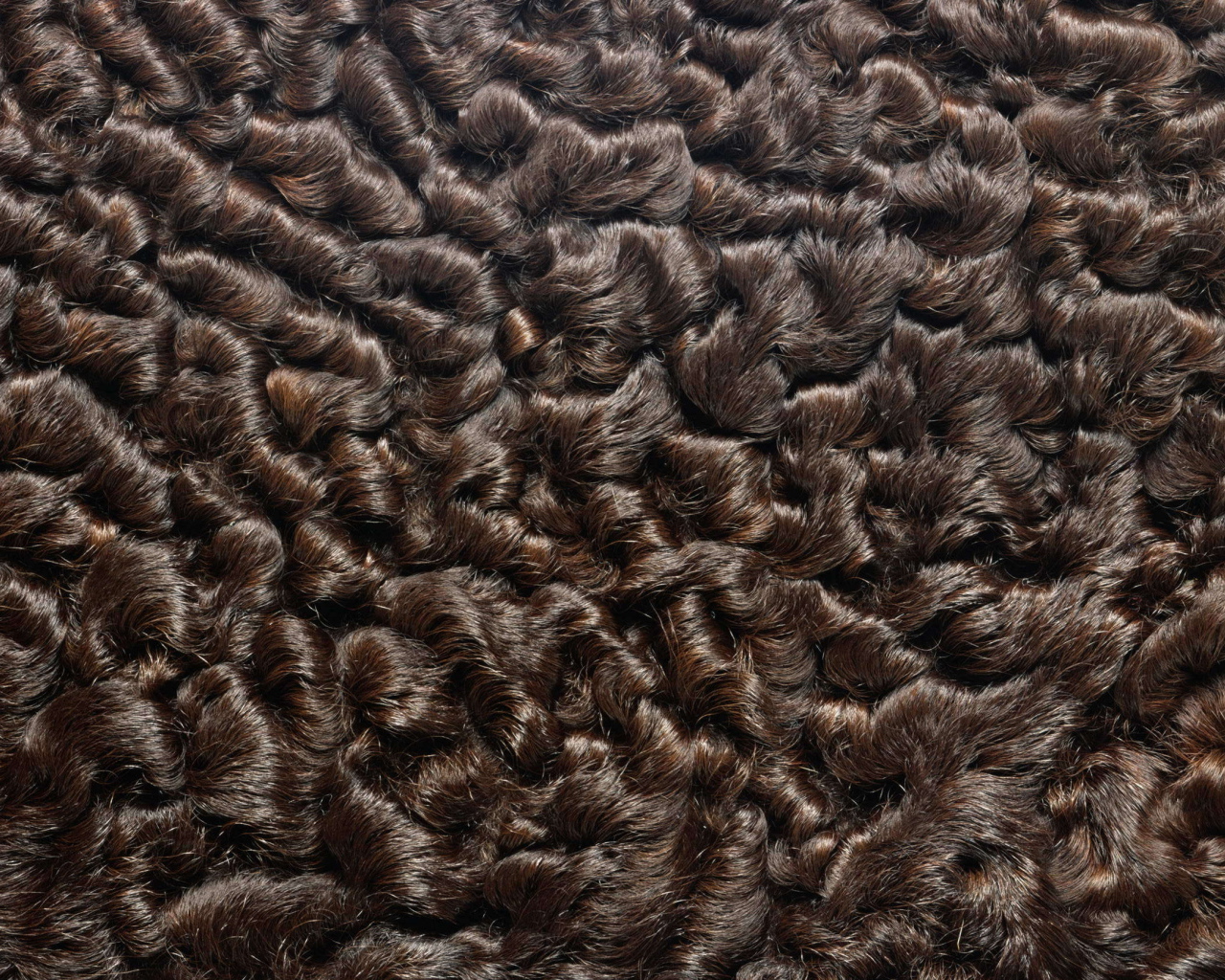 Мех каракуль