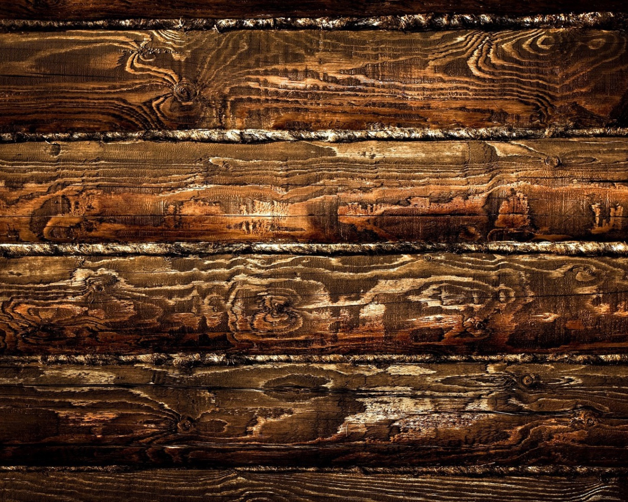 Pисунки дерева