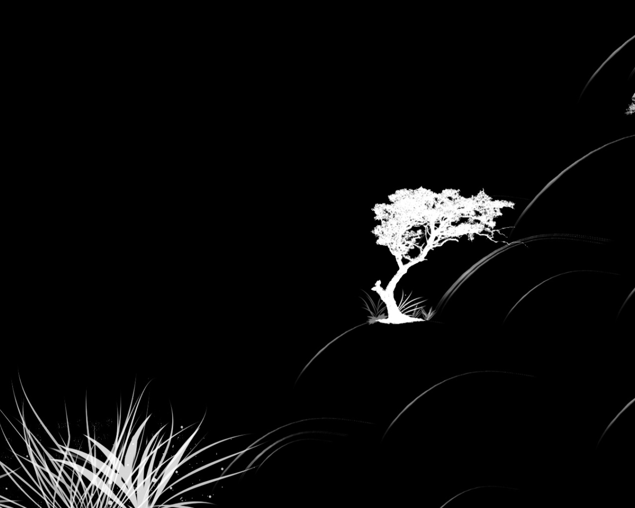 Растительность на черных обоях