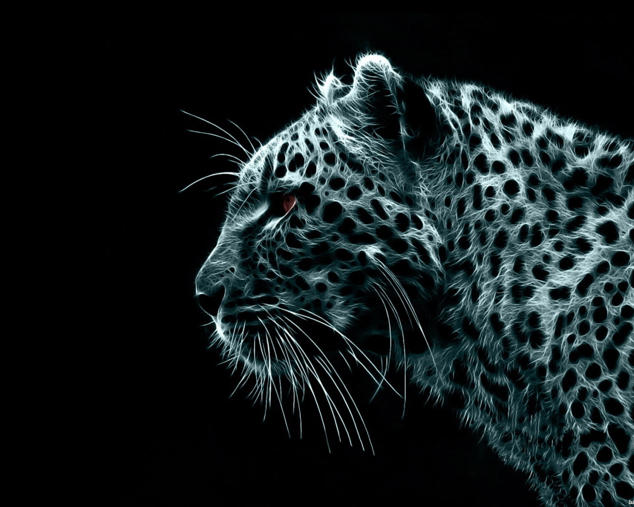 Белый леопард на черных обоях