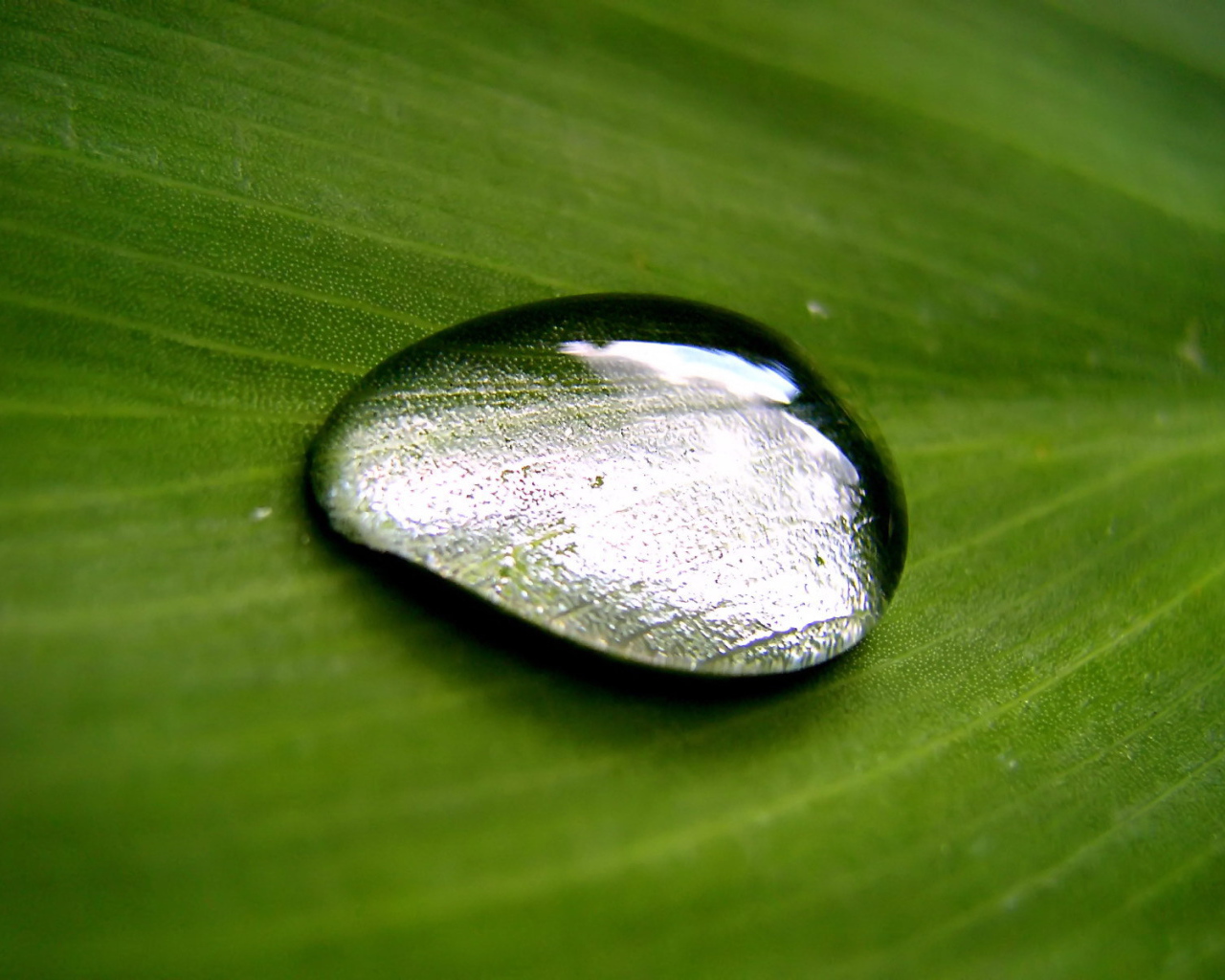 Большая капля