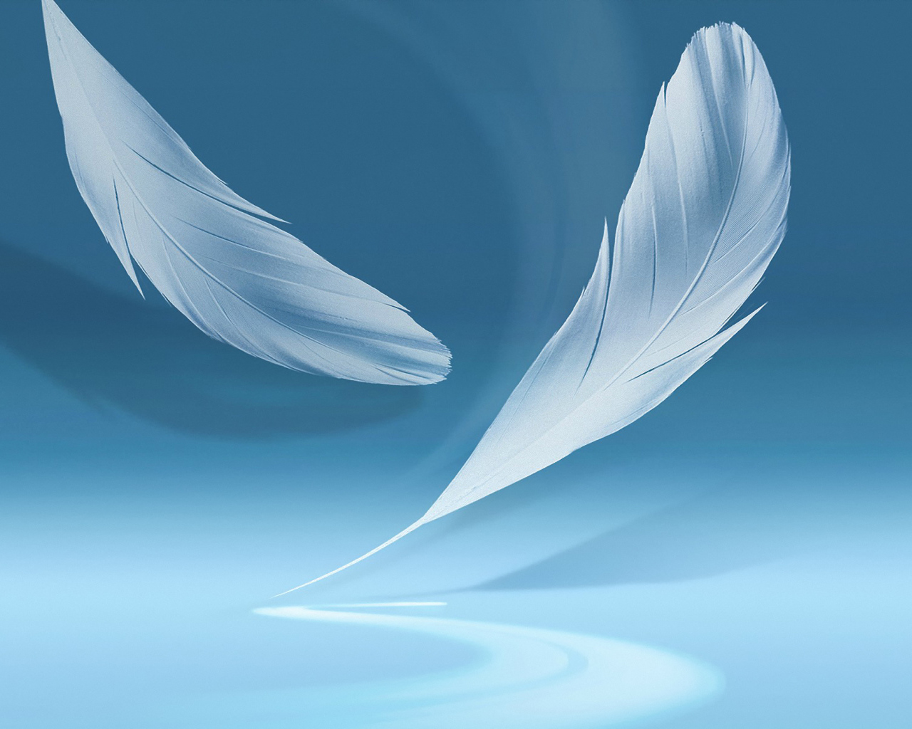 Голубой фон с перьями