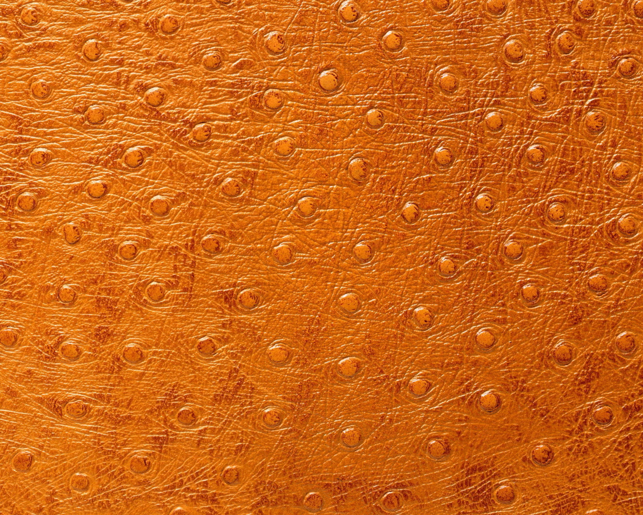 Кожа особой выделки