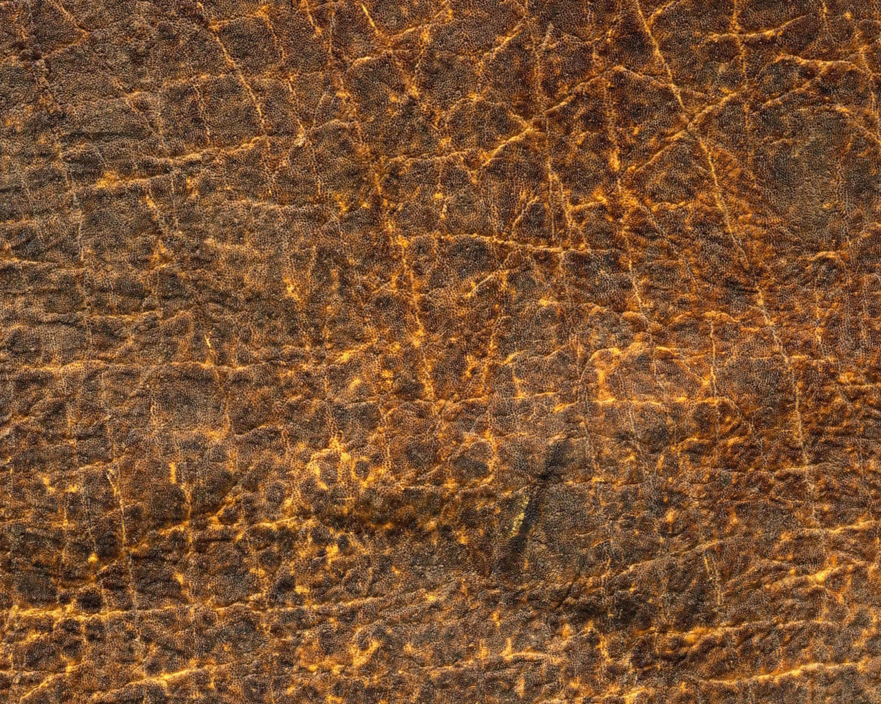 Кожа с прожилками