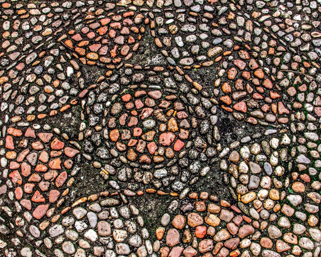 Узоры морского камня