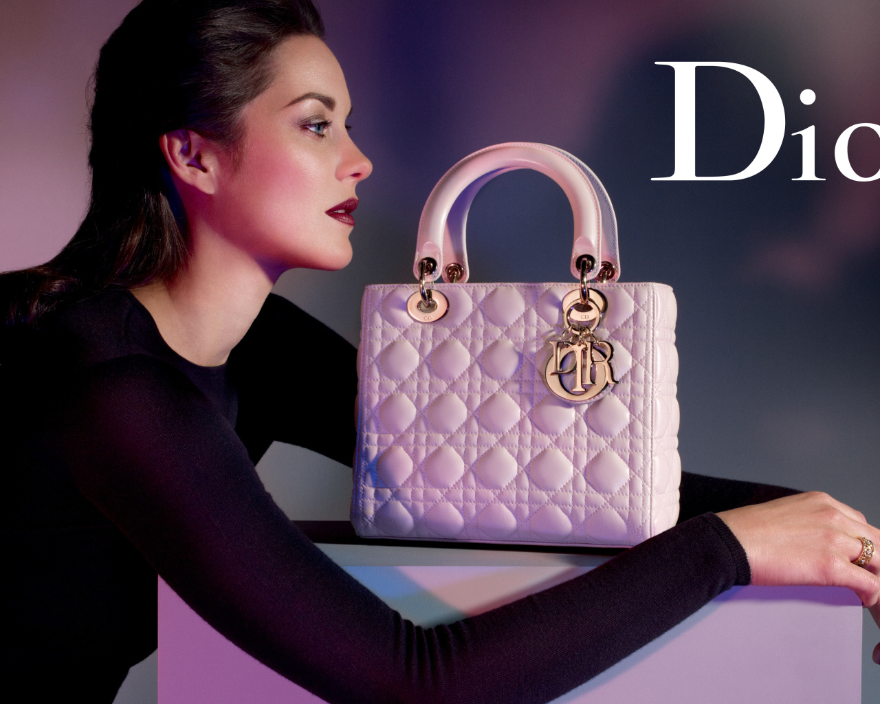 Женские сумки от Dior