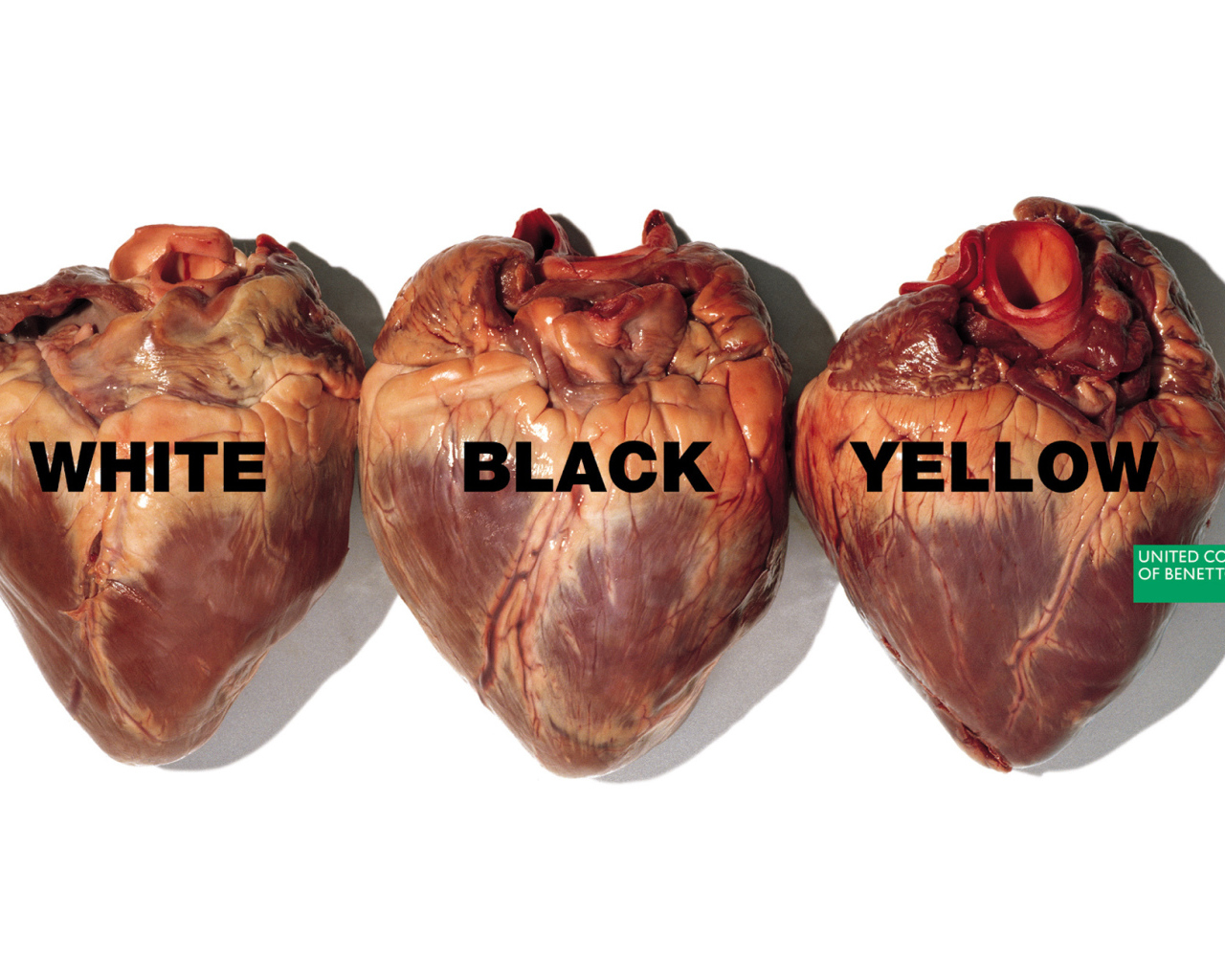 Скандальная реклама Benetton