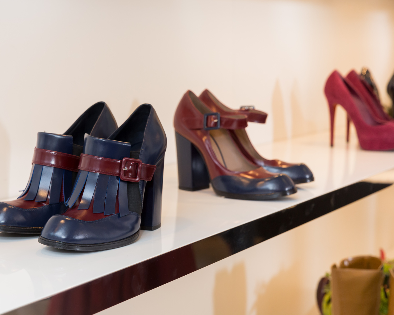 Обувь от модного бренда Baldinini