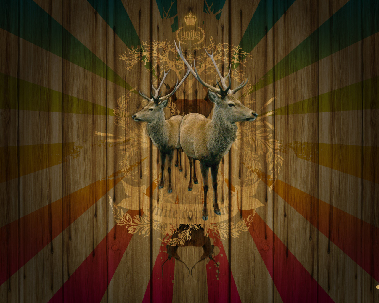 Объединение потребителей