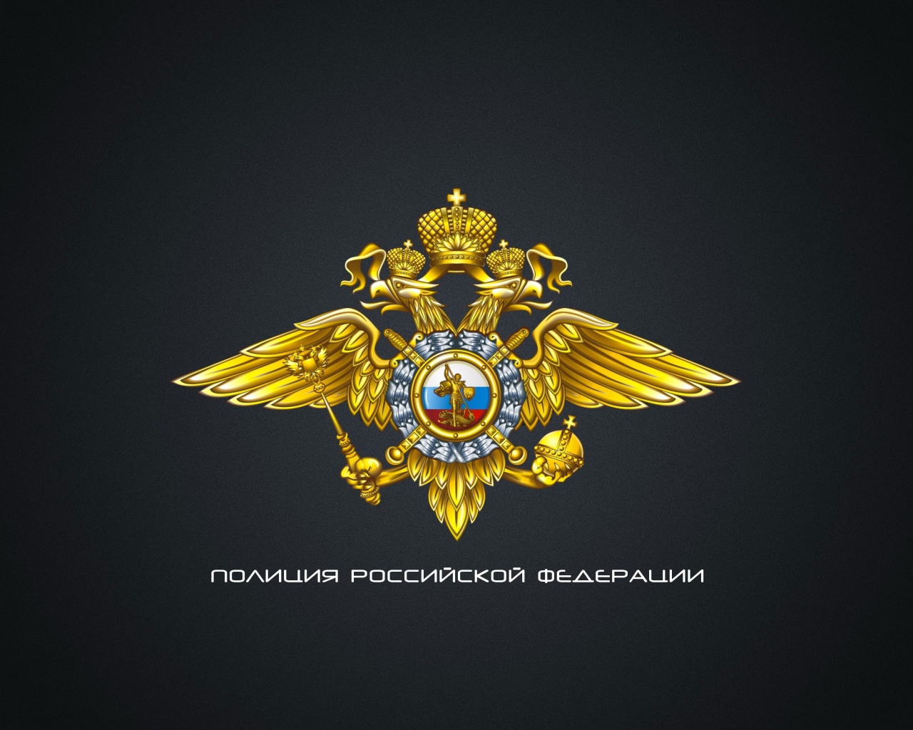 Полиция России