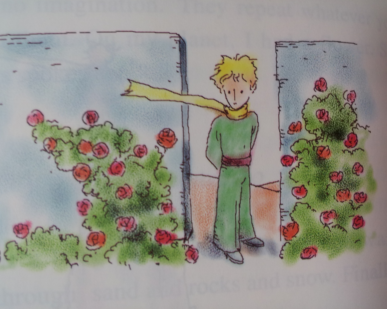 Adventures of the little prince