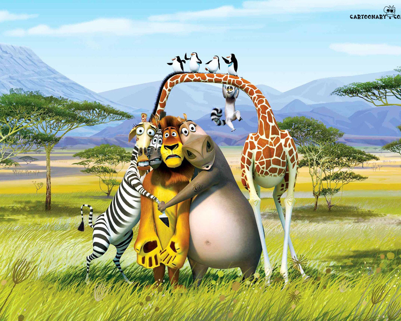 Мультфильм Мадагаскар