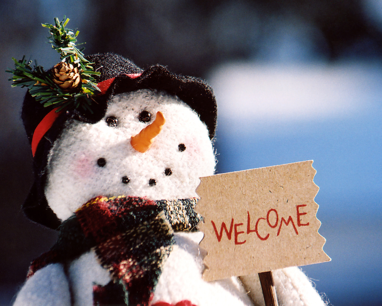 Добро пожаловать на рождество