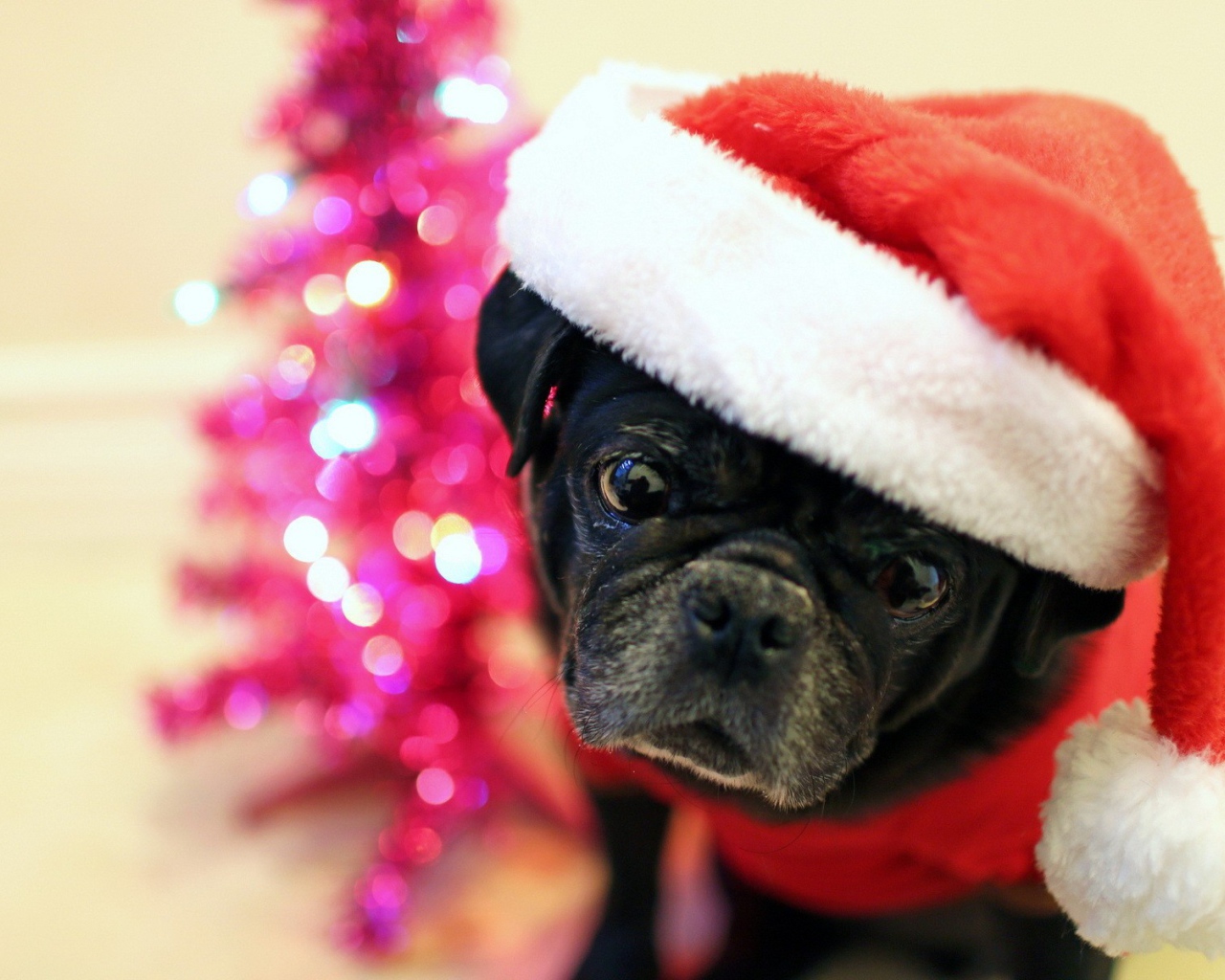 Рождественская собака