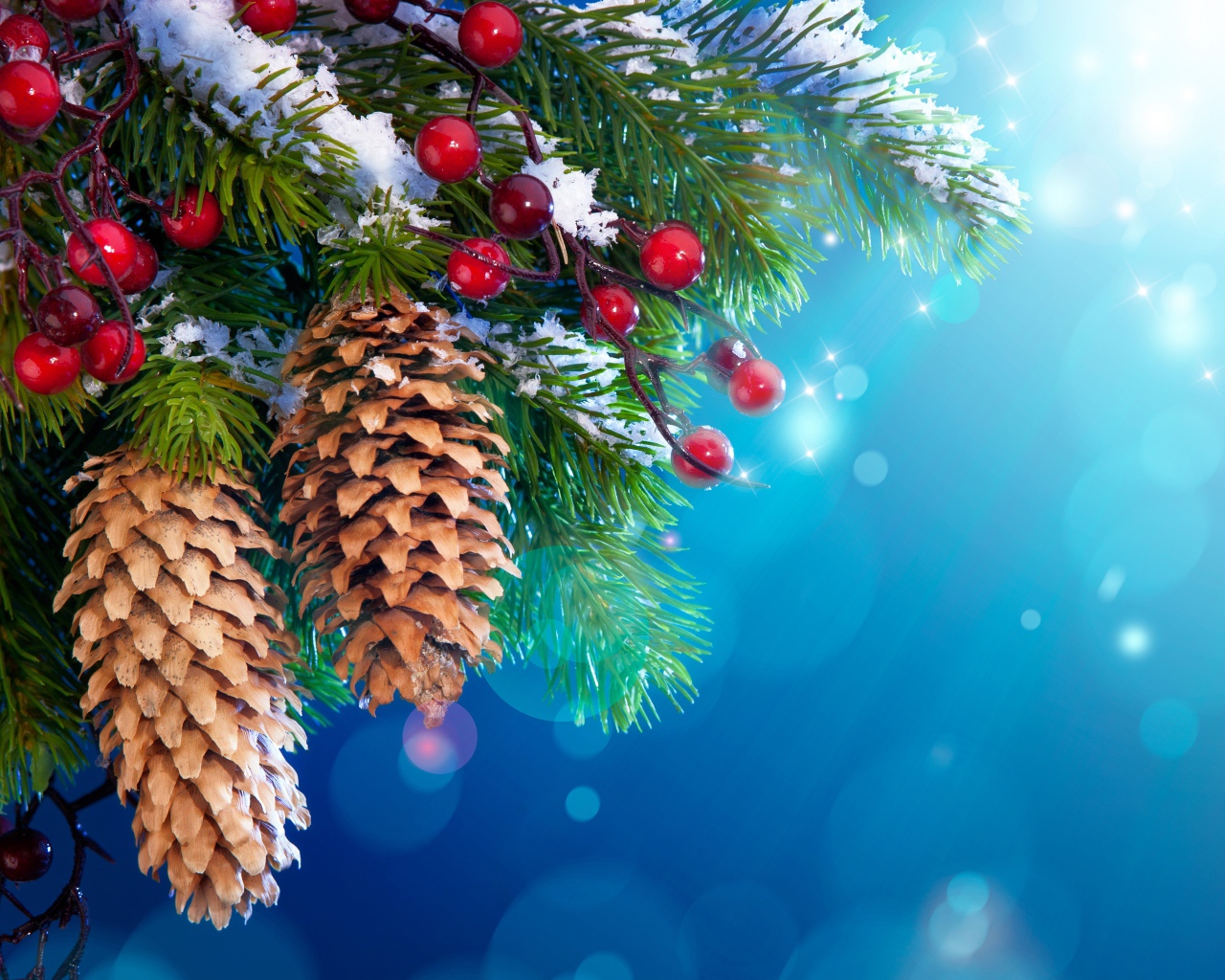 Еловые шишки и красные ягоды