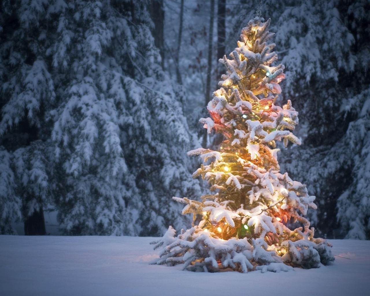 Светящеяся елка в лесу