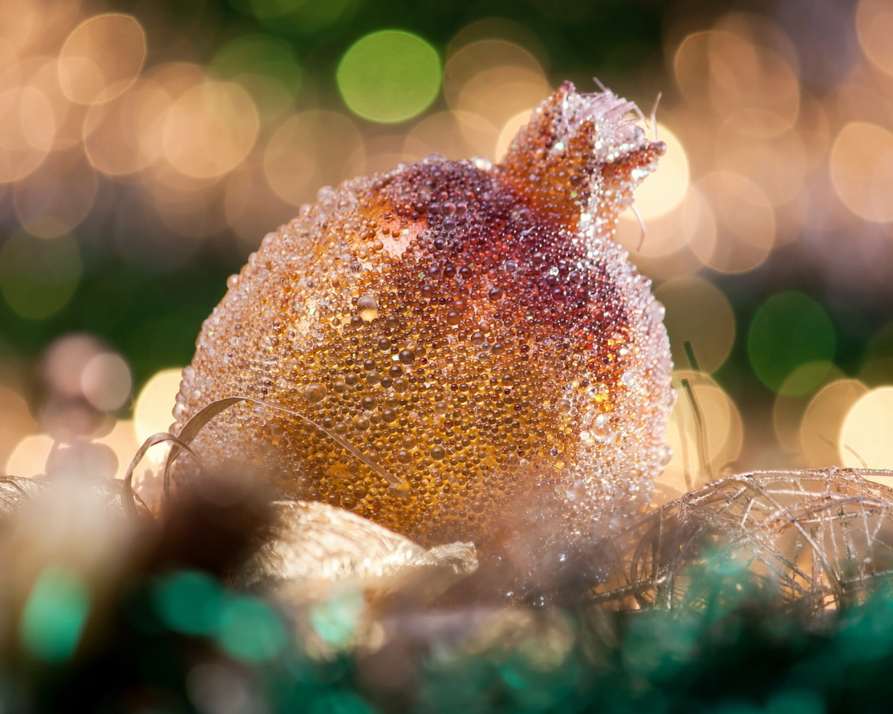 Гранат на Рождество