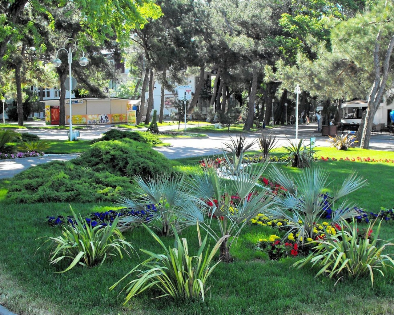 Клумба в городе