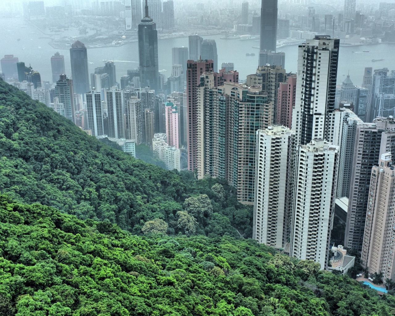 Китайский горд Хонг Конг