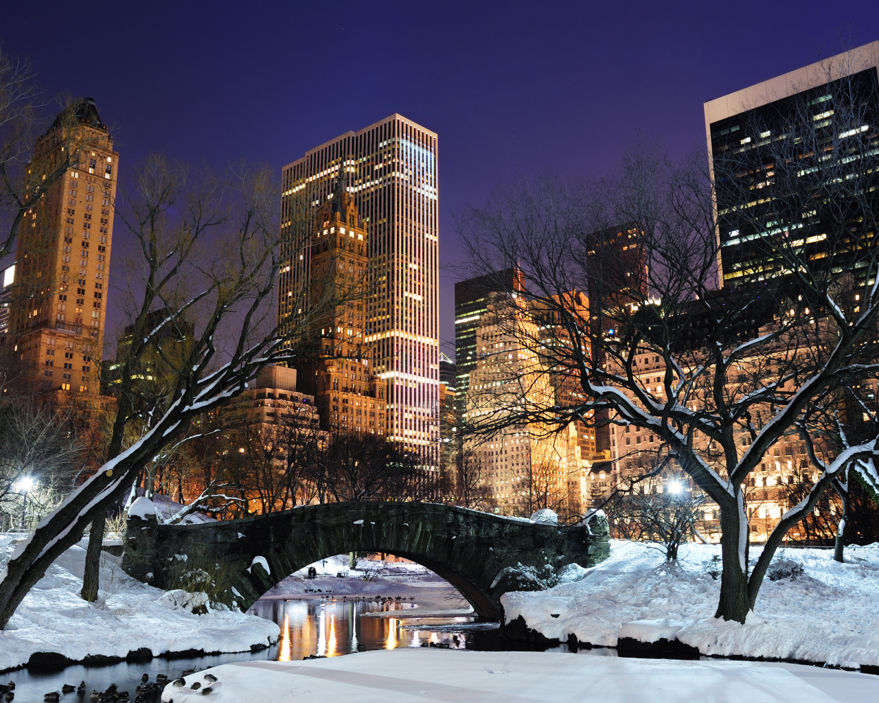 Центральный парк Нью Йорка