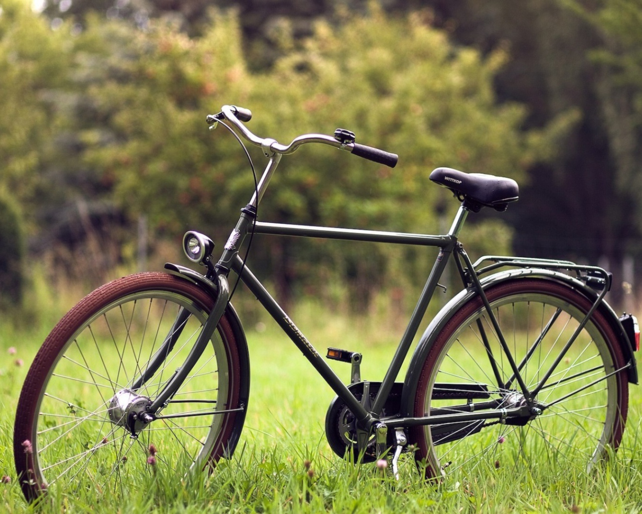 Велосипед на траве