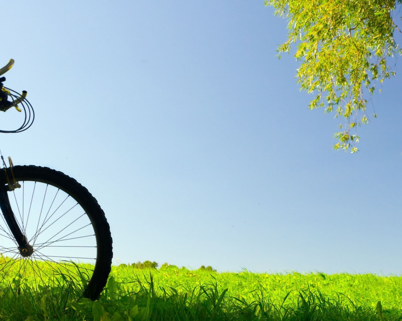 Велосипед в поле