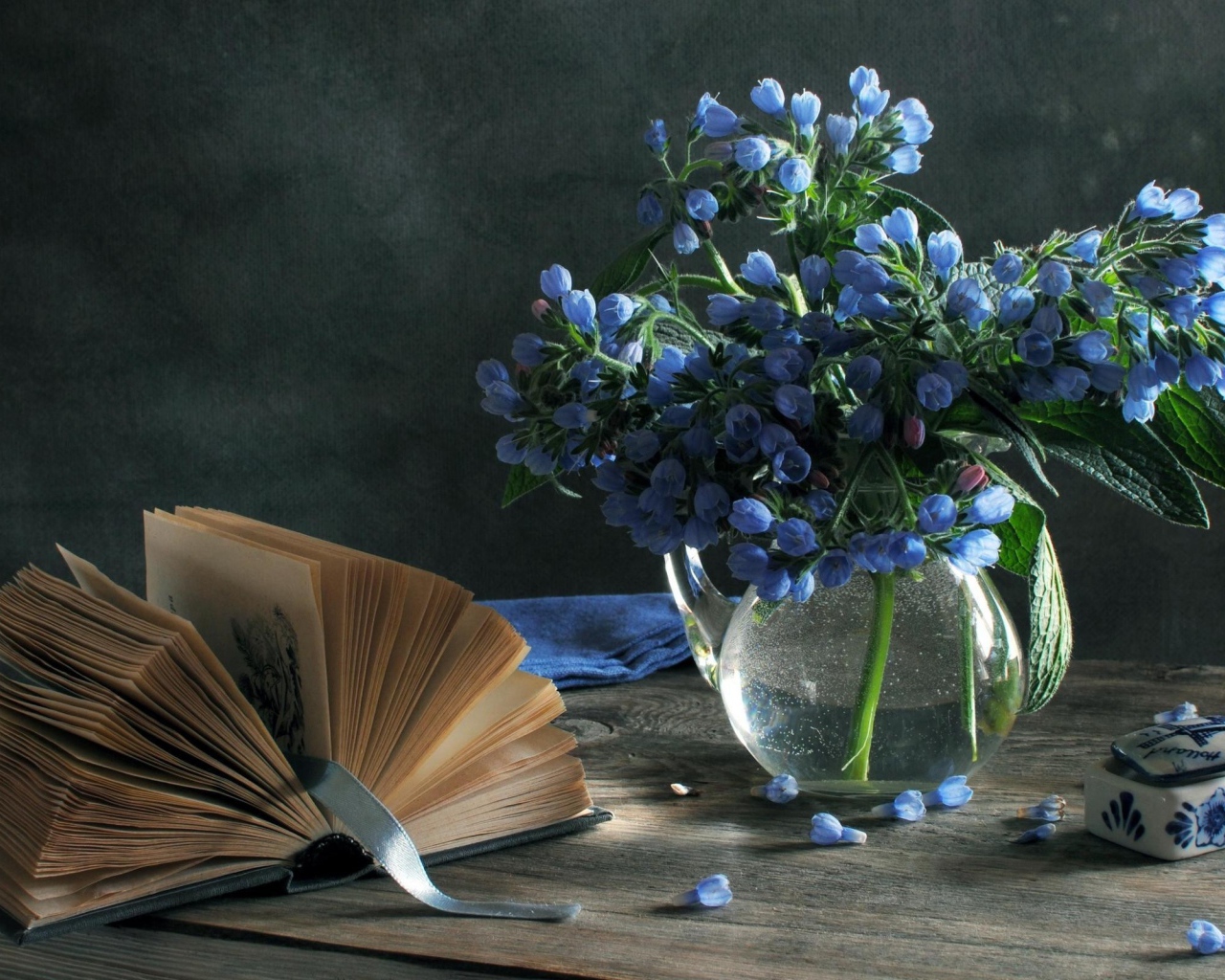 Синие цветы и книга