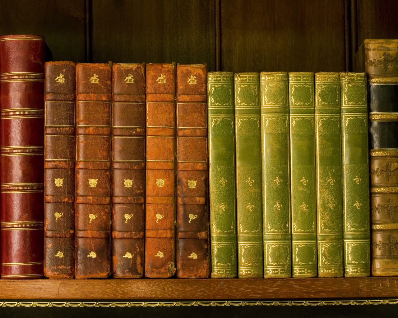 Книги на полке