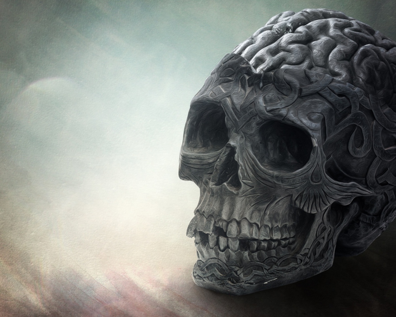 Мозг и череп