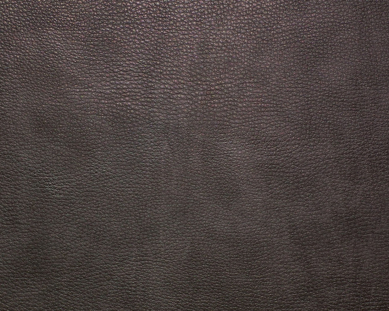 Kоричневая кожа