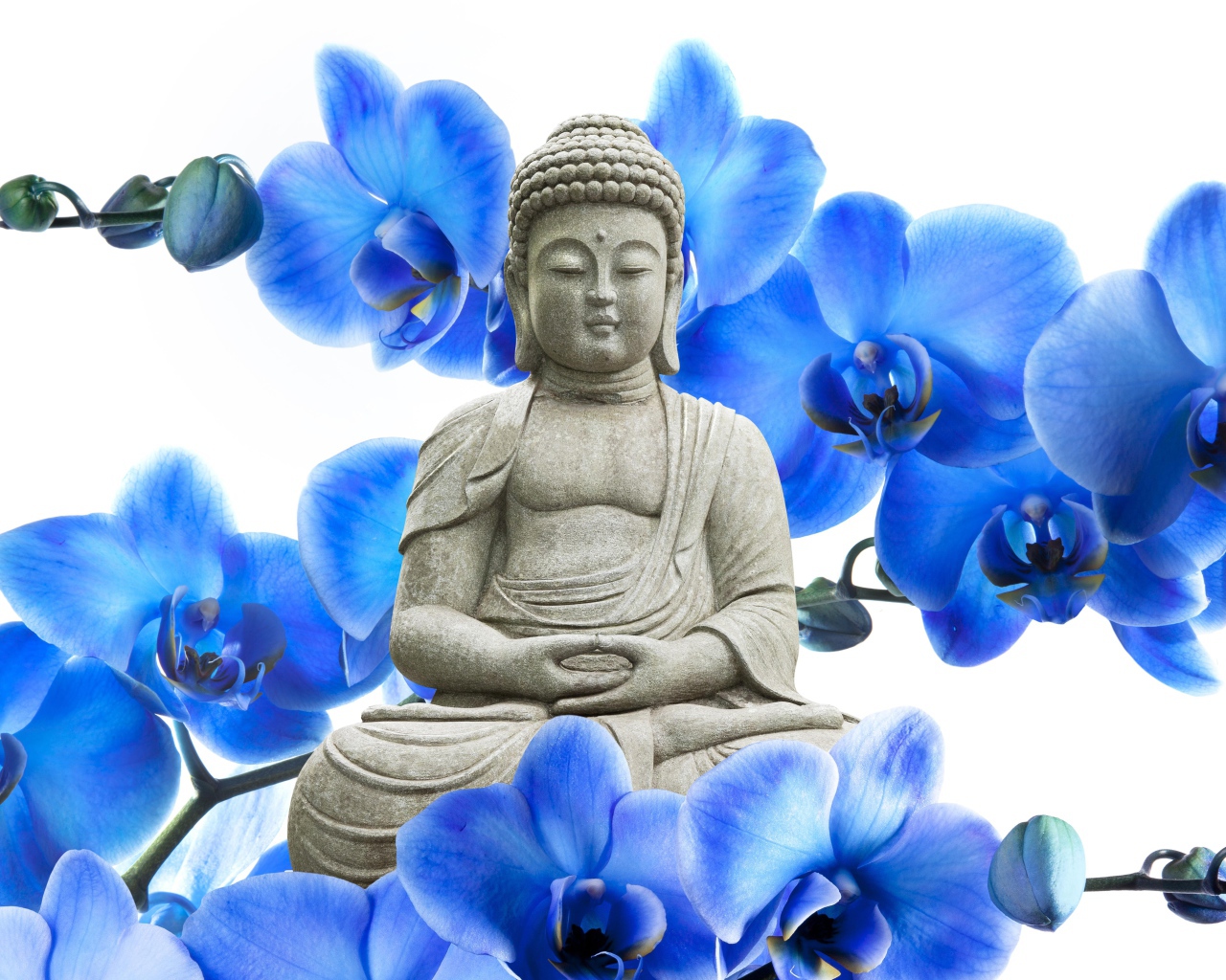 Будда на фоне цветов
