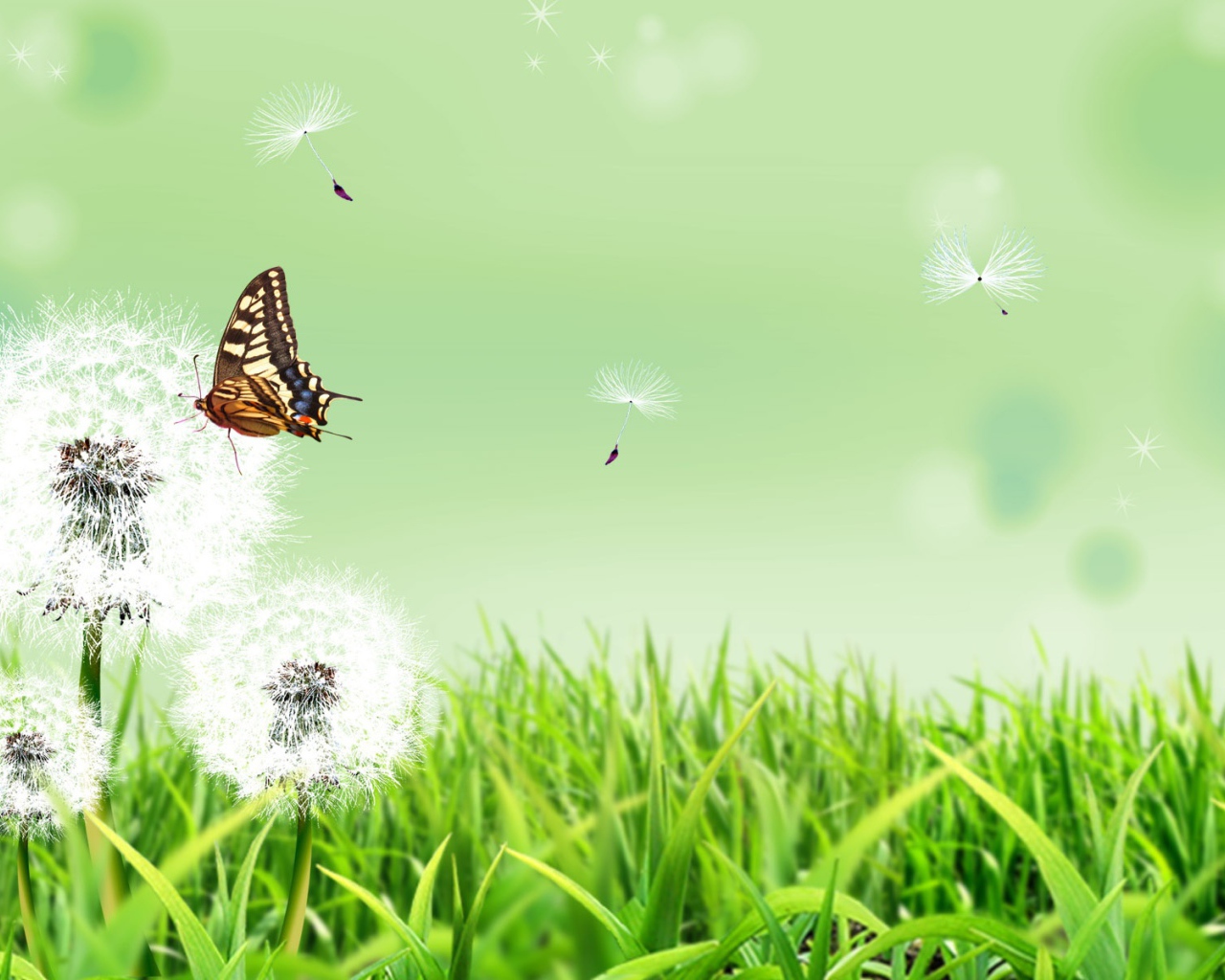 Бабочка на природе