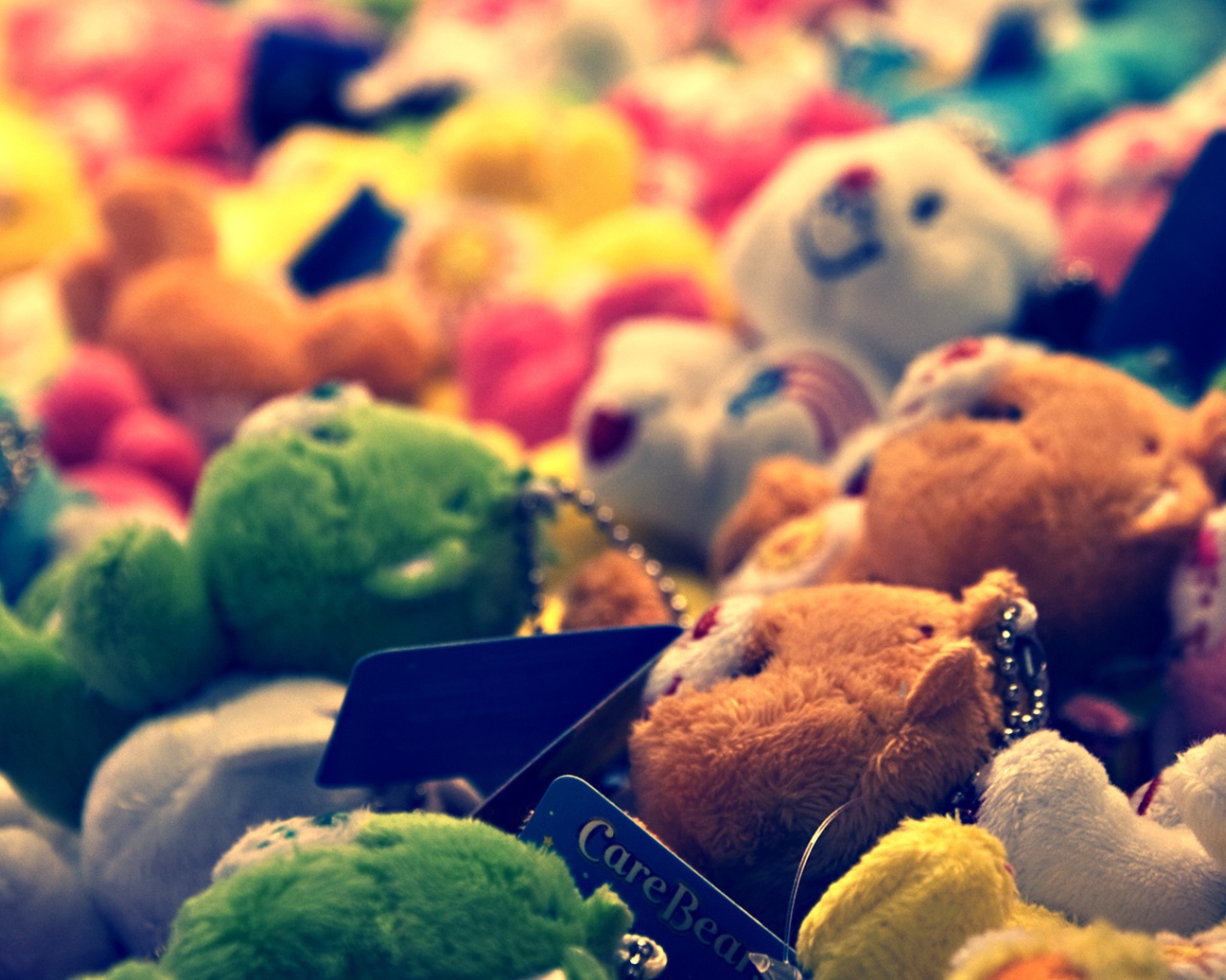 Плюшевые медведи