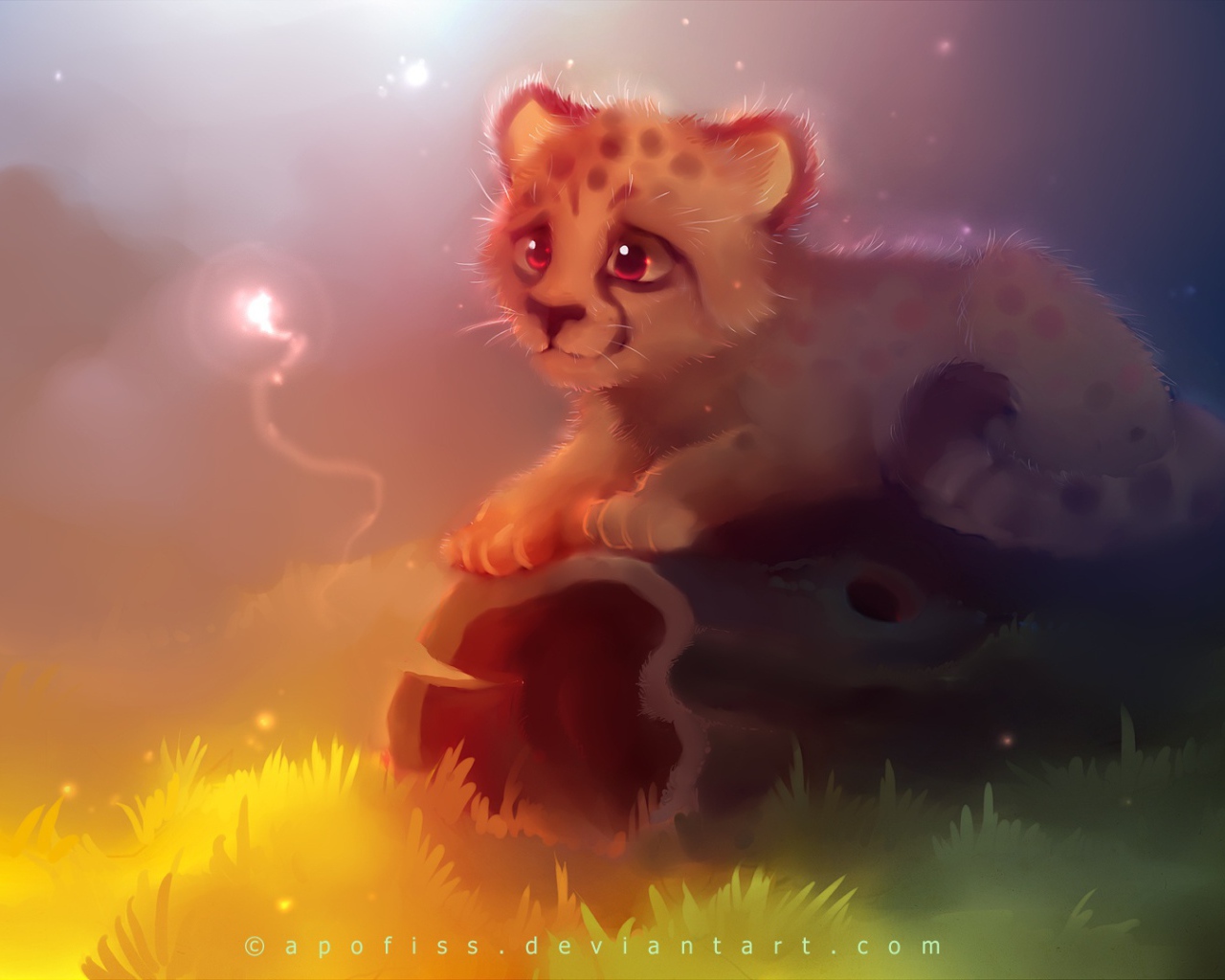 Детеныш гепарда