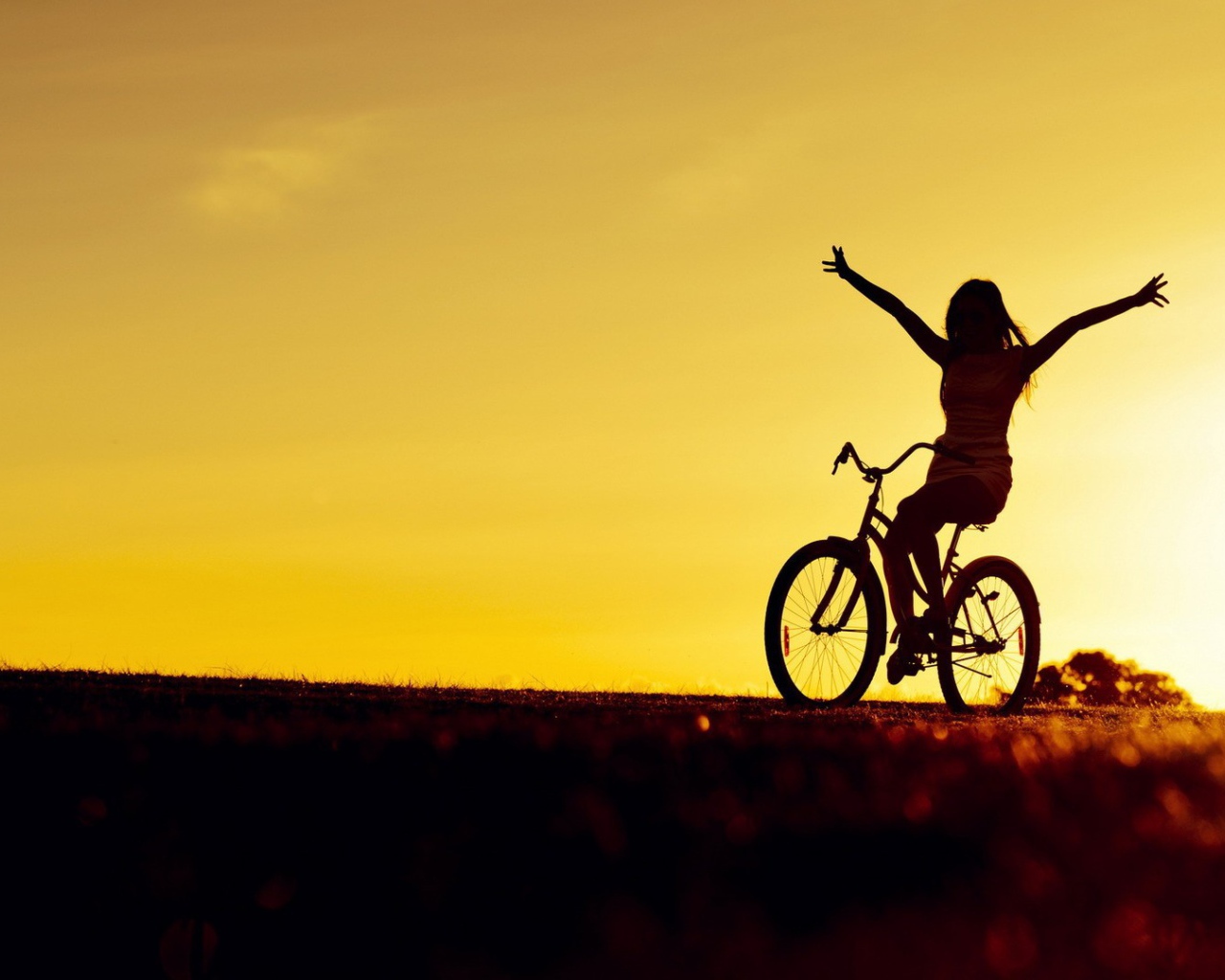 Велосипедистка на закате