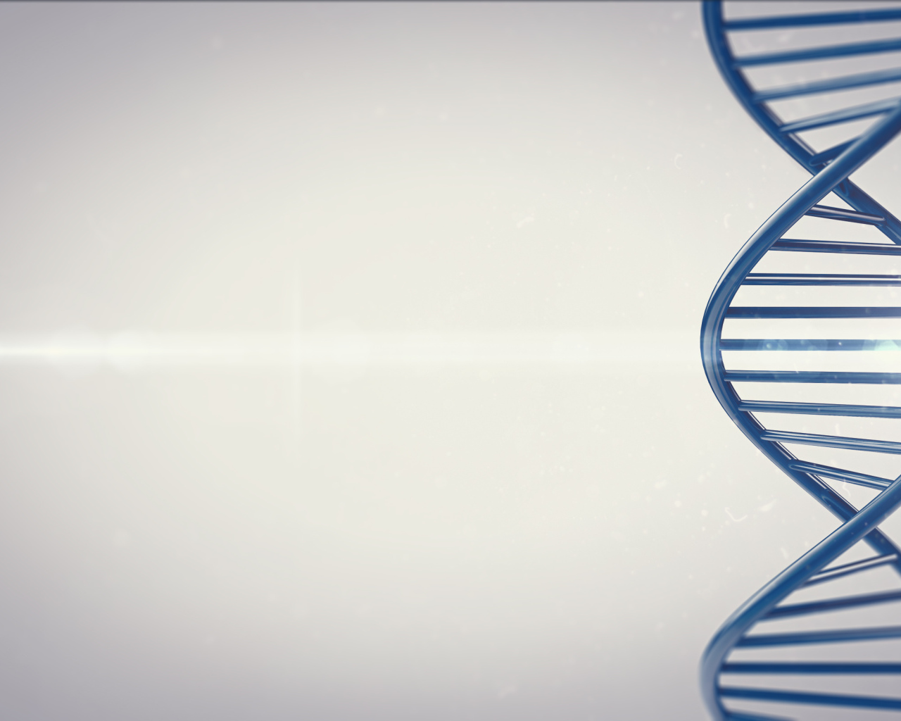 Лестница жизни ДНК