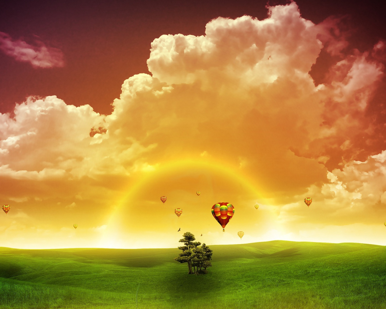 Полет мечты