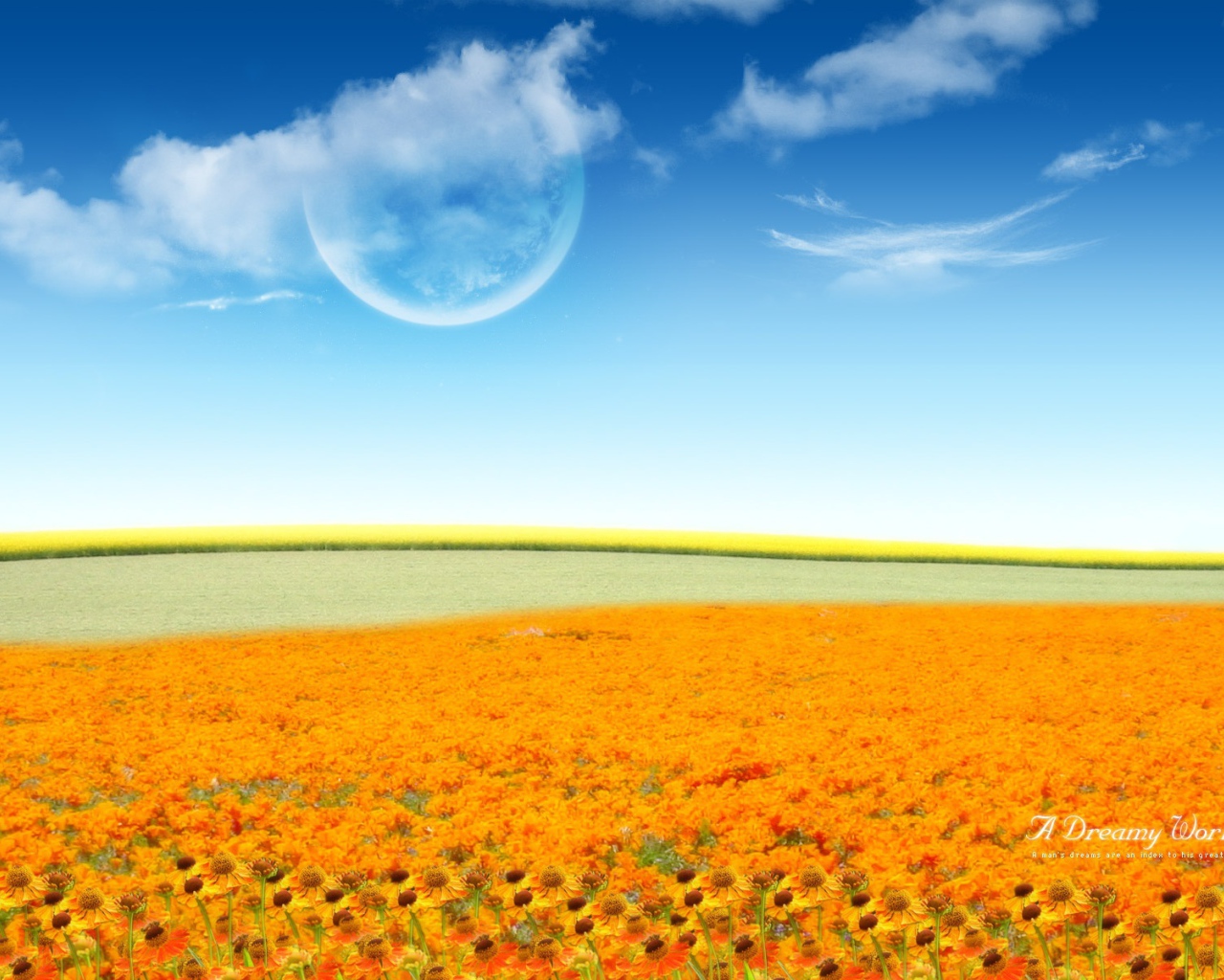 Фантастический мир цветов