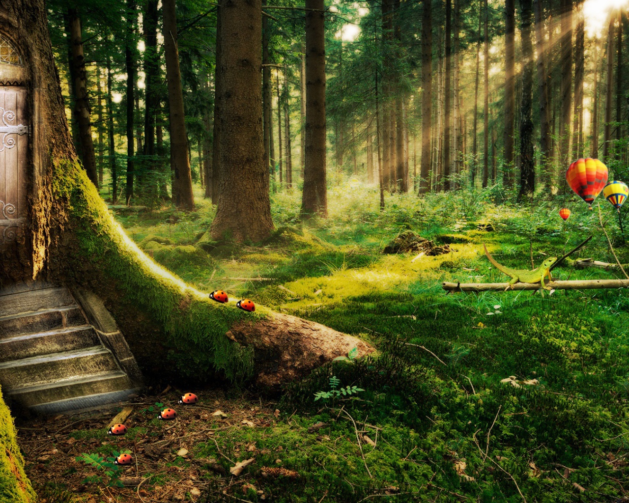 Заколдованный лес