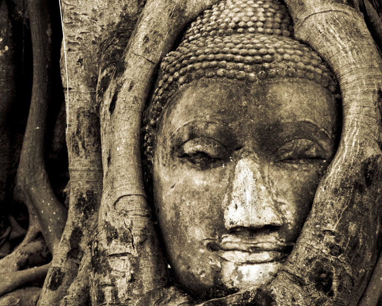 Лицо Будды в дереве