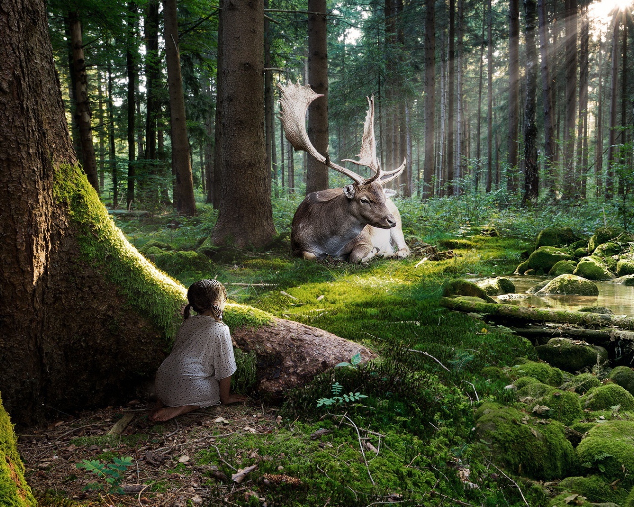 Сказка леса