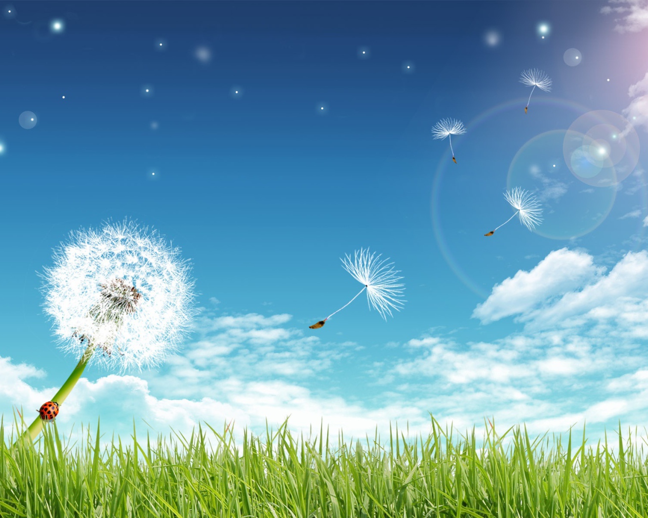 Чистые лучи солнца