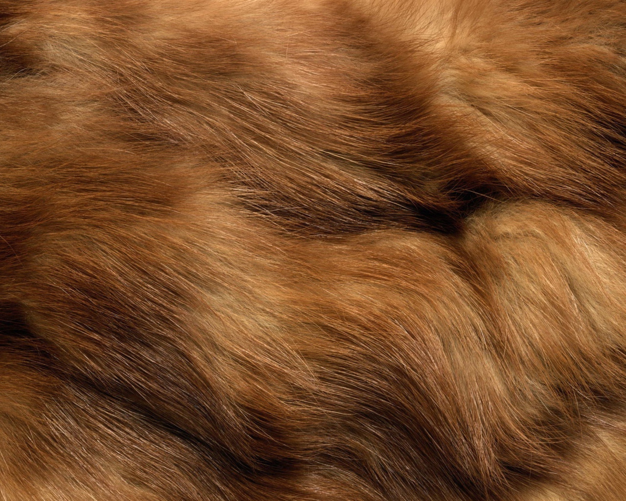 Мех животного