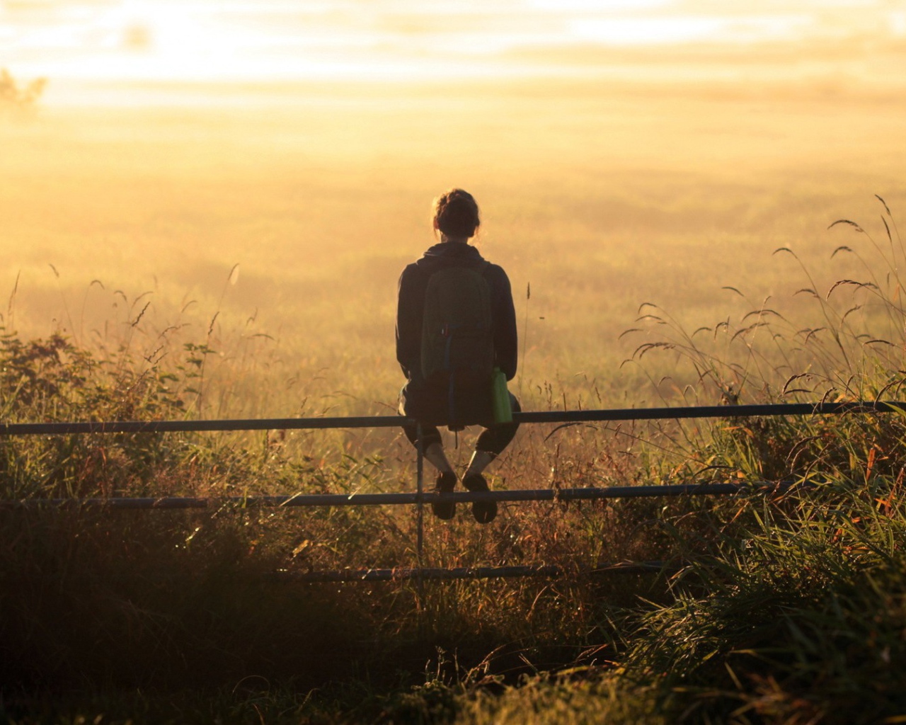 Девушка на заборе